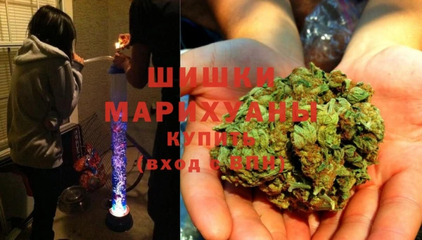 твердый Магас
