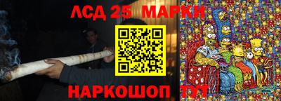 гашик Аргун