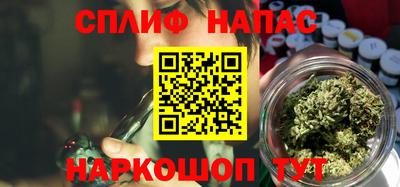 индика Беслан