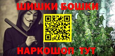 индика Беслан
