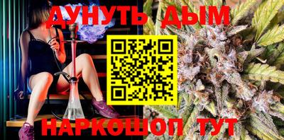 гидра Берёзовский