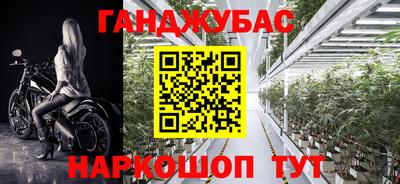 гидра Берёзовский