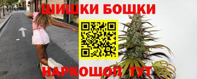 индика Беслан