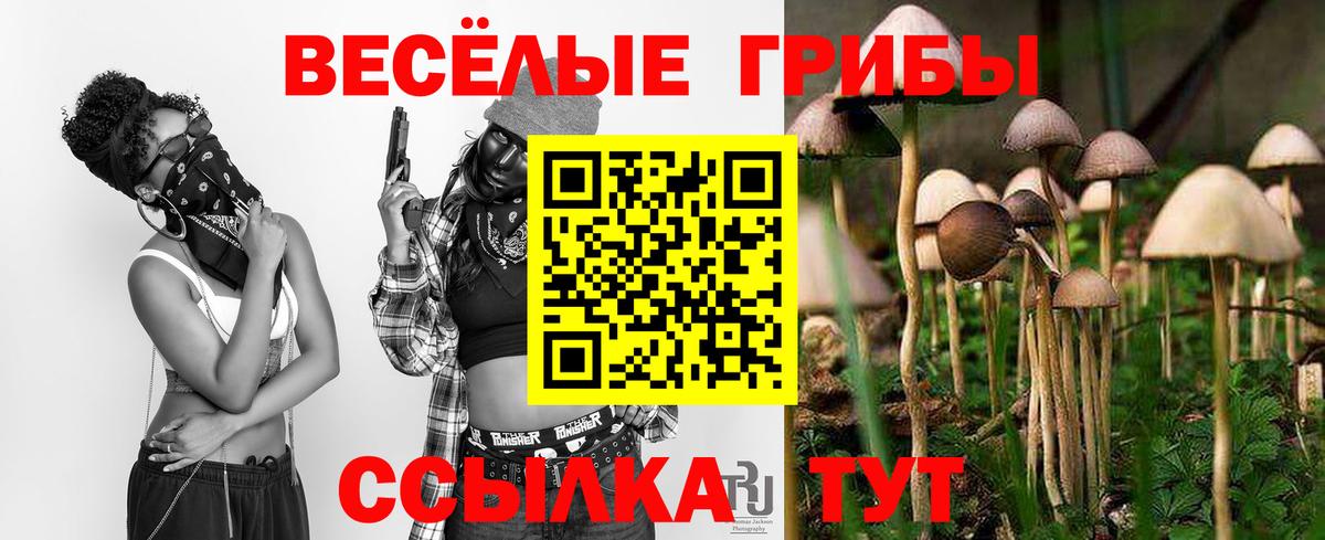 Вятские Поляны  Галлюциногенные грибы мухоморы  Вход с VPN 
