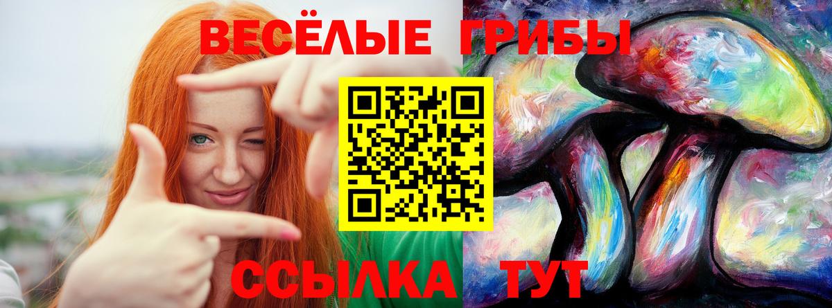 Галлюциногенные грибы MAGIC MUSHROOMS Вятские Поляны