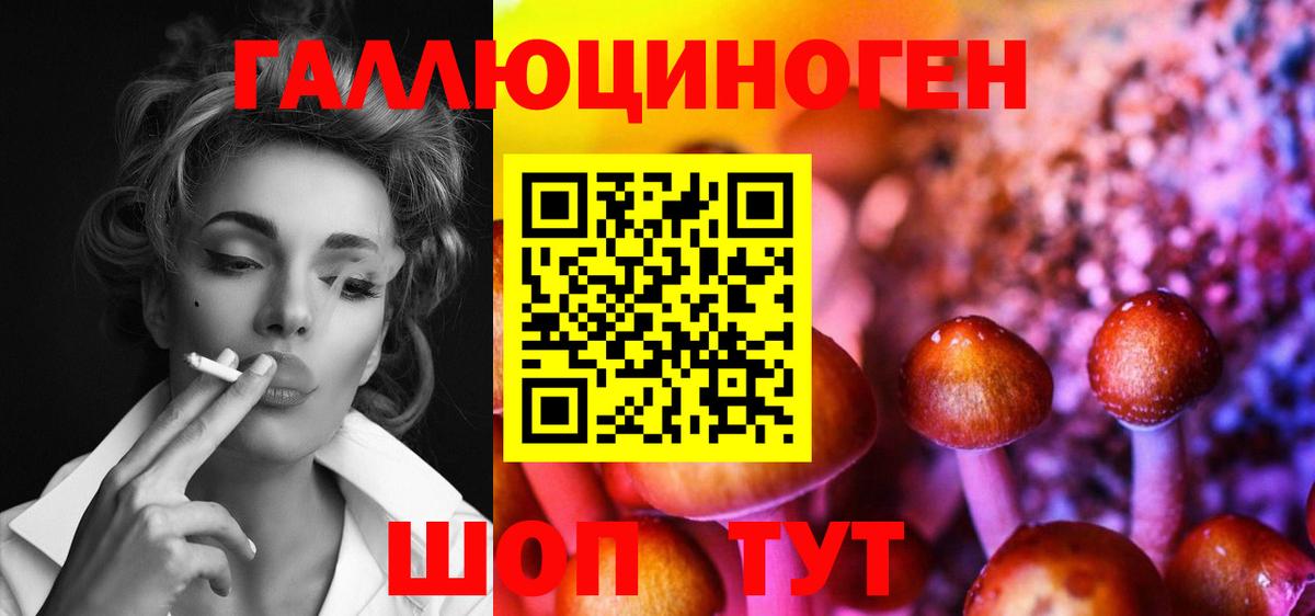 Псилоцибиновые грибы Вятские Поляны